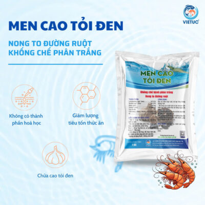 Men cao tỏi đen nong to đường ruột tôm, tôm ăn khỏe rút size nhanh