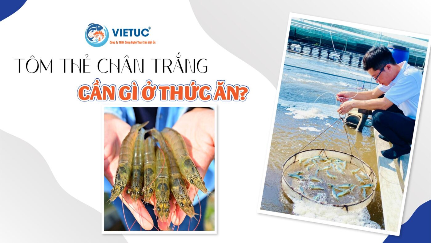 Công ty TNHH Công nghệ thủy sản Việt Úc